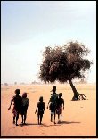 EEDD : Journée mondiale de l&rsquo;environnement le 5 juin