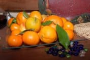 Ressources de l&rsquo;Inra