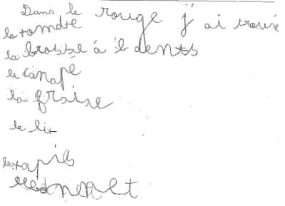 Lire et écrire en maternelle : 2007-2008