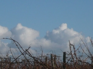 Monde rural