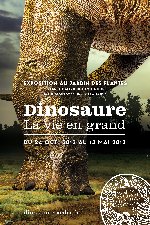 Comment rencontrer des dinosaures…à Paris?