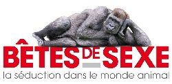 « Bêtes de sexe » : Tout, tout, tout sur la séduction….