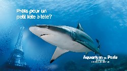 L&rsquo;Aquarium invite les enseignants le 14 novembre