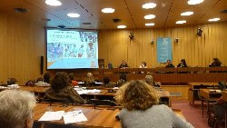 D&rsquo;autres manières de philosopher ? Les Nouvelles Pratiques Philosophiques à l&rsquo;UNESCO