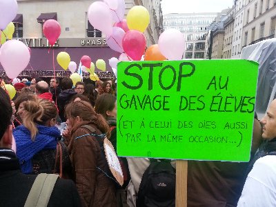 Les professeurs de SES inaugurent la première grève sous Peillon