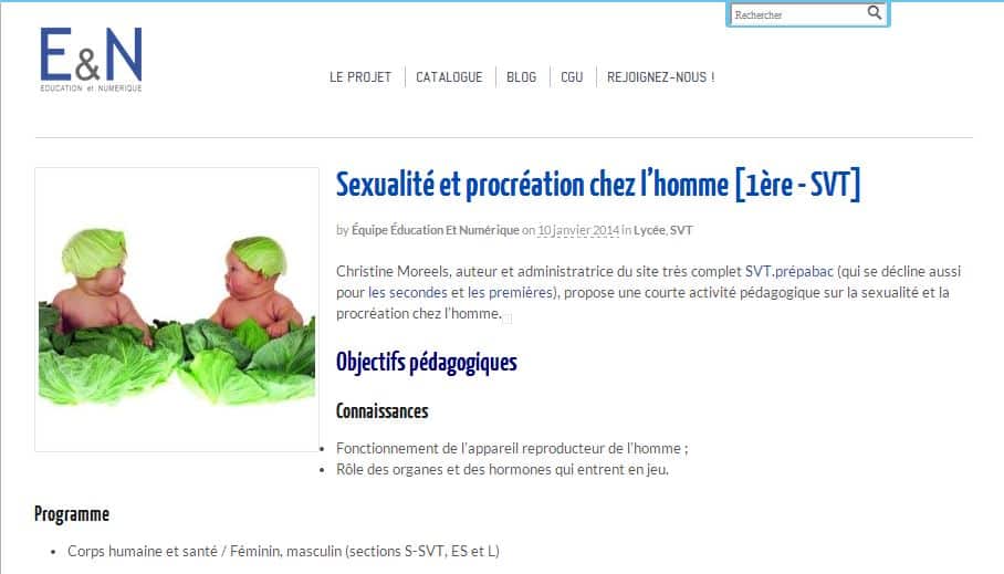 Pour le prof