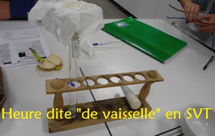 pour le prof