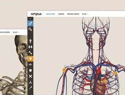 A la découverte du corps humain avec Corpus
