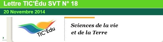 Pour le prof