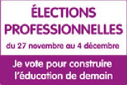 Elections professionnelles : Vers un taux d’abstention record ?