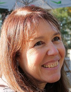 Enseignement virtuel : Quels résultats en France ?