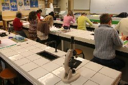 Nouveaux programmes : Quels changements en Sciences de la Vie et de la Terre ?
