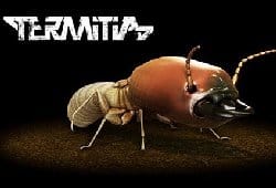 Termitia