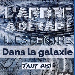 L&rsquo;Hebdo Lettres : Photopoésie : une invitation à créer sur Twitter