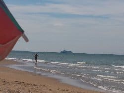Le Café pédagogique en vacances !