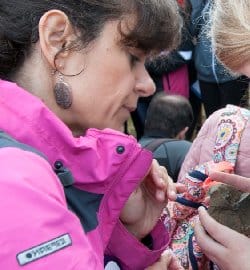 Sciences : Un EPI volcanique