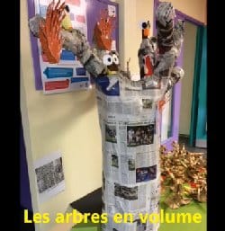 ARBRES : Un joli projet en maternelle
