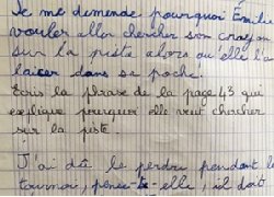 Primaire : Le journal dialogué