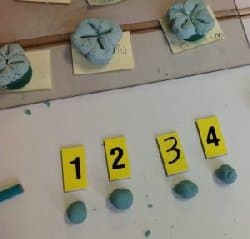 Maternelle : Le trèfle à 4 feuilles