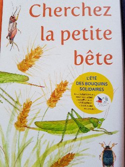 Cherchez la petite bête !
