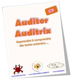 Primaire : Auditor et Auditrix mis à jour