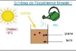 Enseigner les sciences en cycle 3