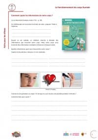 Primaire : Un guide pour l'enseignement des sciences