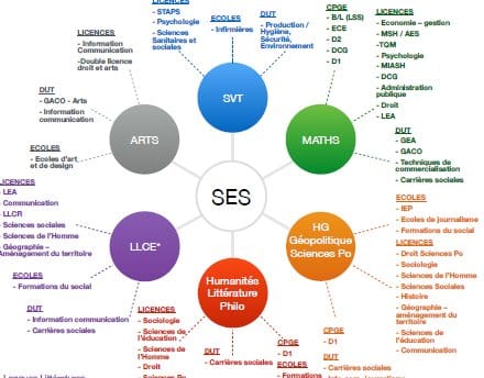 Les SES et les spécialités