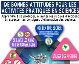 SVT : Les bonnes attitudes pour les activités pratiques