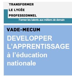 Voie professionnelle : Le vade-mecum qui gâche les vacances