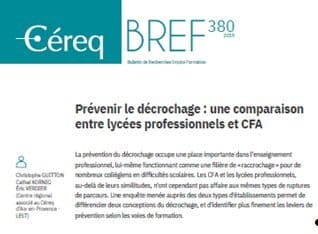 Mixité des publics et décrochage : Des facteurs différents en LP et en CFA
