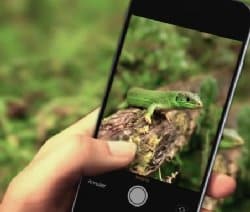 SVT : Science participative avec l&rsquo;INPN