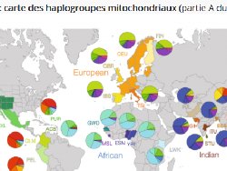 SVT : Des données génétiques pour reconstituer l&rsquo;histoire de l&rsquo;humanité
