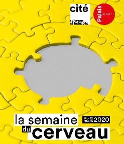 Testez votre cerveau à la Cité des sciences et au Palais de la découverte