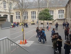 Un appel à la végétalisation des cours d&rsquo;école