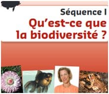 Les sciences avec La Map