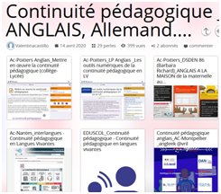 La continuité pédagogique en langues