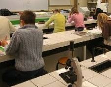 Brevet 2020 : Quelles disciplines scientifiques ?
