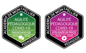 Open Badges : La révolution dans la gestion des relations humaines ?