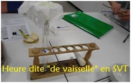 Sciences : ne pas oublier son heure de vaisselle