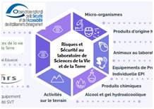 Les risques dans le laboratoire de SVT