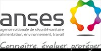 Des jeunes trop sédentaires selon l&rsquo;Anses