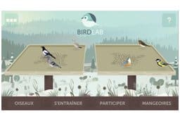 Birdlab : Observez les oiseaux et contribuez à la recherche