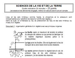 L&rsquo;épreuve de sciences du brevet comme avant…
