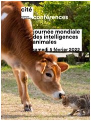 Samedi 5 février, journée mondiale des intelligences animales