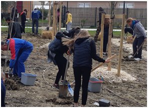 Une forêt comestible au collège de Cintegabelle