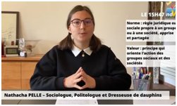 Le concours vidéo de l&rsquo;Apses
