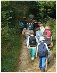 Primaire : Marcher ou lire, pourquoi choisir ?