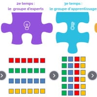 Marie Pigache : Collaborer en dispositif puzzle