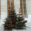 Anglais : Des ressources pour Noël